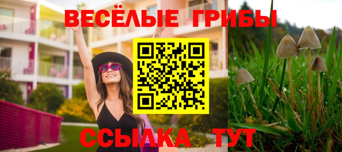 Северодвинск  Псилоцибиновые грибы ЛСД  Вход с VPN 