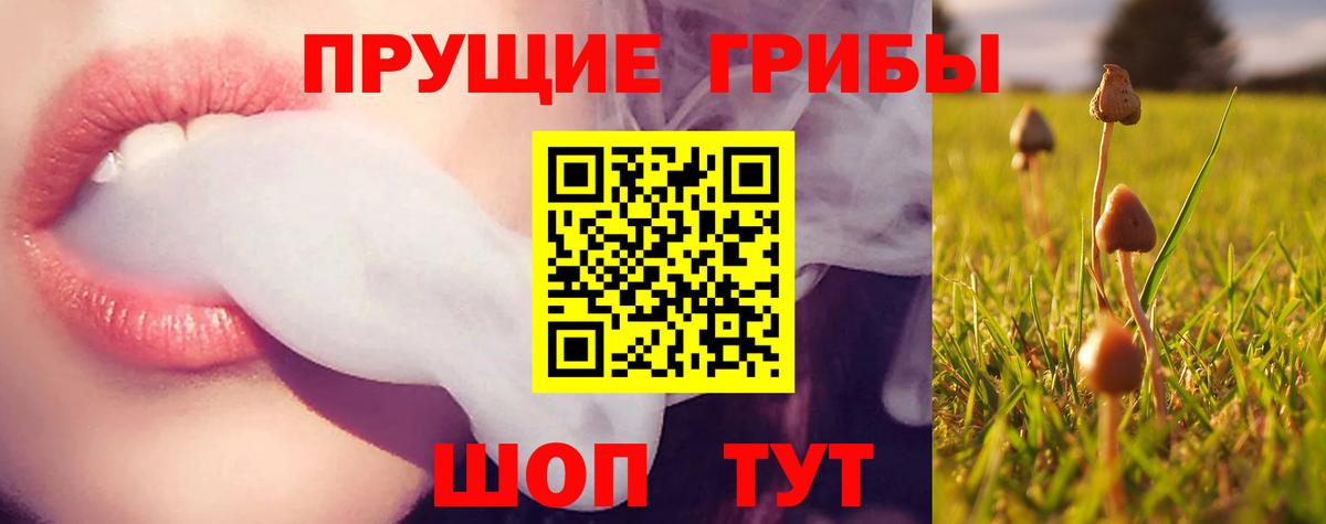 Галлюциногенные грибы MAGIC MUSHROOMS Северодвинск